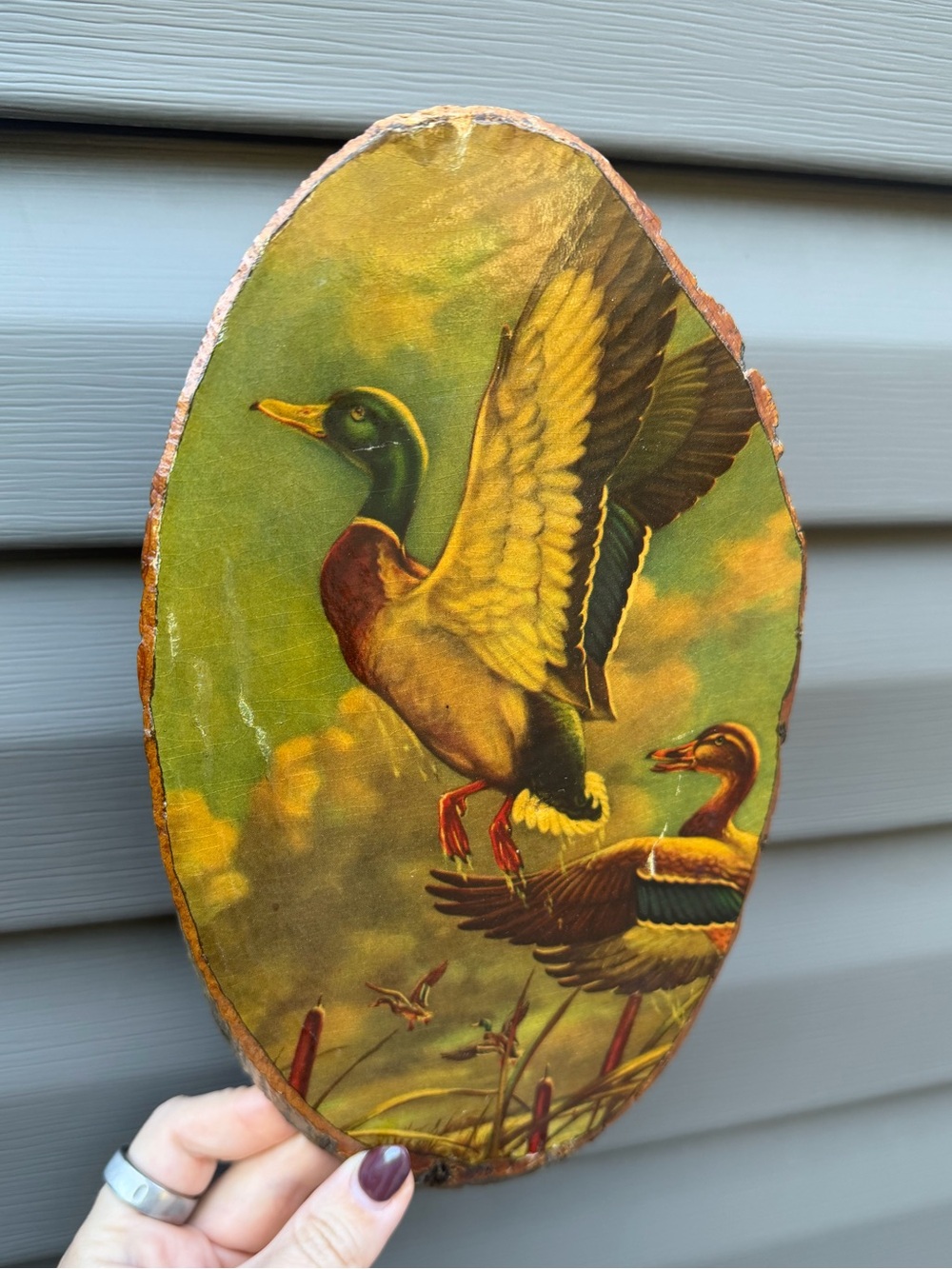 Vintage-Style Mallard Duck Wall Art Plaque in Green and Brown